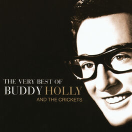 Album picture of The Very Best Of Buddy Holly And The Crickets