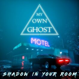 Album cover of Shadow In Your Room