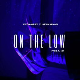 Album cover of On the low