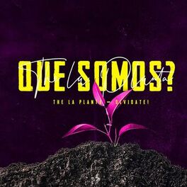 Album cover of Que Somos?