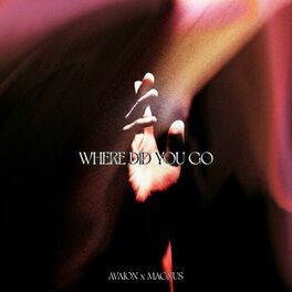 Album cover of Where did you go