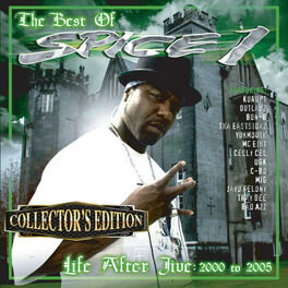 Album cover of Life After Jive (Collector's Edition)