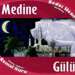 Album cover of Medine Gülü