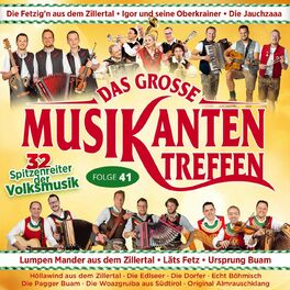 Album cover of Das grosse Musikantentreffen - Folge 41 - 32 Spritzenreiter der Volksmusik