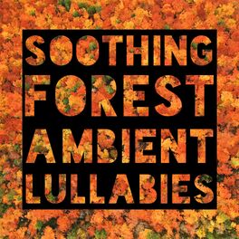 Album cover of Soothing Forest Ambient Lullabies