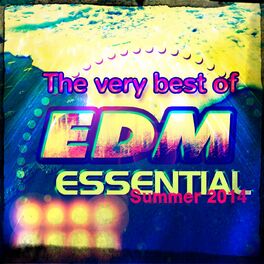 Album cover of The Very Best of EDM Essential Summer 2014 (50 Ibiza & Miami Extended Tracks for DJ Set and Festival)