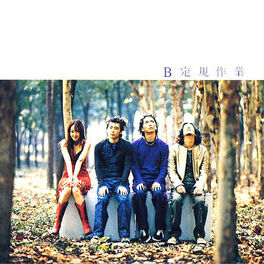 Album cover of Irregular Works