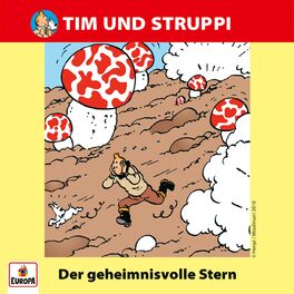 Album cover of 012/Der geheimnisvolle Stern