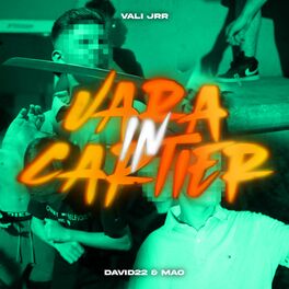 Album cover of Vara in cartier (feat. David22 & Mao)
