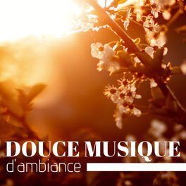 Musique d'Ambiance Ensemble : albums, chansons, playlists