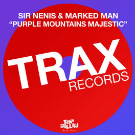 Album cover of Purple Mountains Majestic