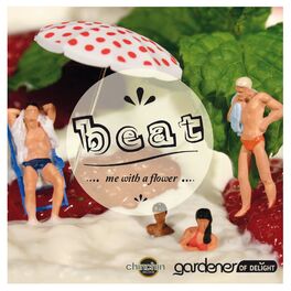 Album cover of Beat Me With a Flower