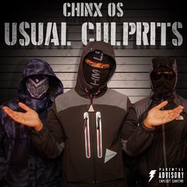 Album cover of Usual Culprits
