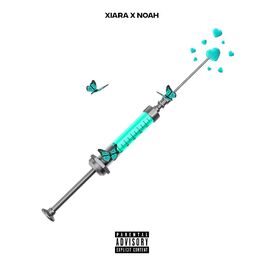 Album cover of Junkie