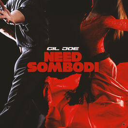 Album cover of Need Sombodi