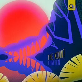 Album cover of Function