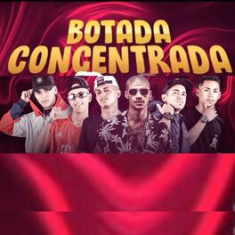 Album cover of Botada Concentrada