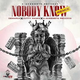 Album cover of Nobody Know (Remix)