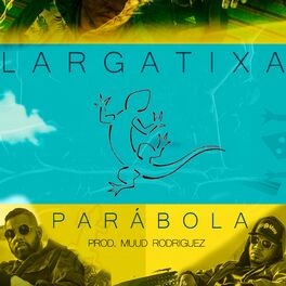 Album cover of Largatixa