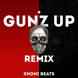 Album cover of GUNZ UP (feat. Noizy)