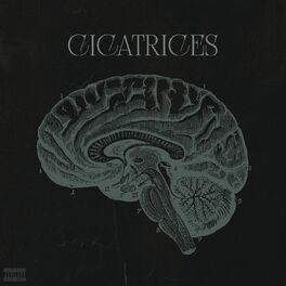 Album cover of Cicatrices