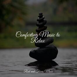 Album cover of Comforting Music to Relax