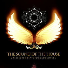 Album cover of The Sound of the House - 20 Selected Beats for Club Lovers (Album)