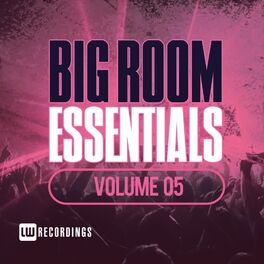 Album cover of Big Room Essentials, Vol. 05