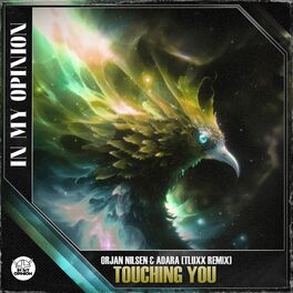 Album cover of Touching You (TLUXX Remix)