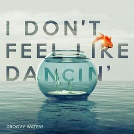 Album cover of I Don't Feel Like Dancin'