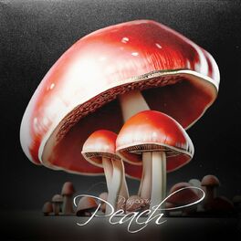 Album cover of Prinzessin Peach
