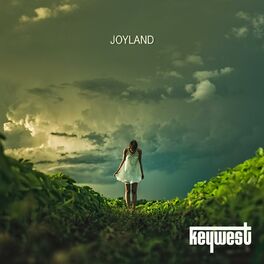 Album cover of Joyland