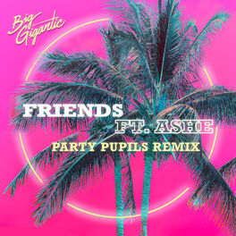 Album cover of Friends (Party Pupils Remix)
