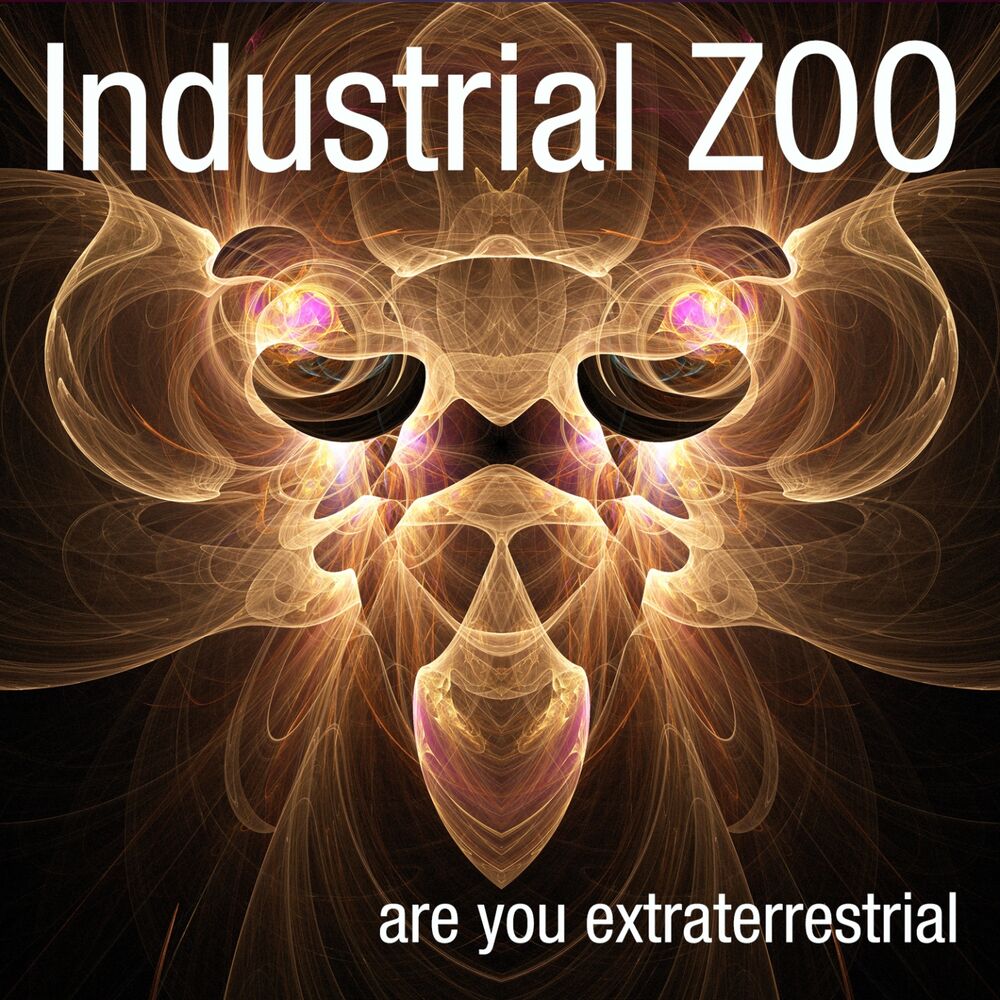 Песня are you are you remix. Industrial Zoo - amazing Sky (2016).