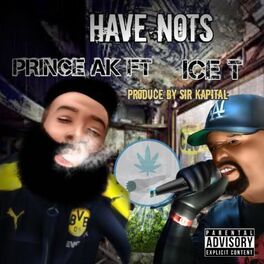 Album cover of Have Nots (feat. ICE-T)