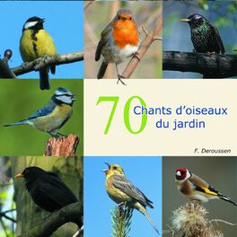Album cover of 70 chants d'oiseaux du jardin (Bird Songs from the Garden)