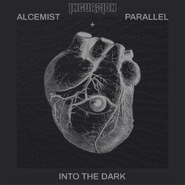 Album cover of Into The Dark