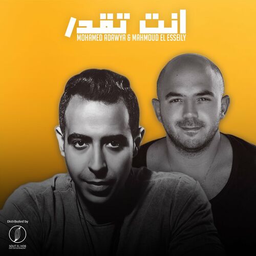 Mahmoud El Esseily - Enta Tekdar: Listen With Lyrics | Deezer