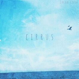 Album cover of Cirrus