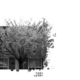 Album cover of Frontyards