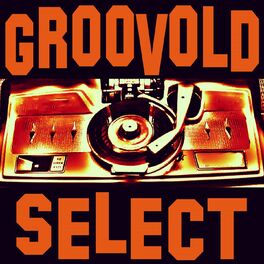 Album cover of Groovold Select