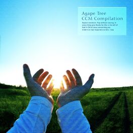Album cover of CCM Piano For Quiet Meditation Of Agape Tree