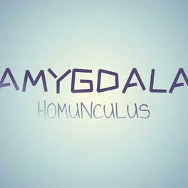 Album cover of Amygdala Homunculus