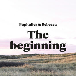 Album cover of The Beginning
