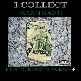 Album cover of I Collect (feat. Sparks)