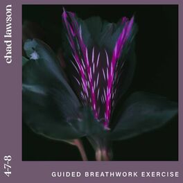 Album cover of 4-7-8 (guided breathwork exercise)
