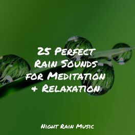 Album cover of 25 Perfect Rain Sounds for Meditation & Relaxation