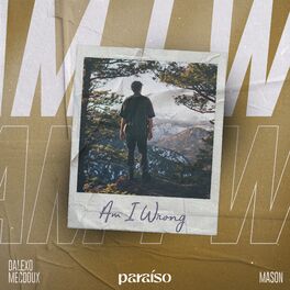 Album cover of Am I Wrong