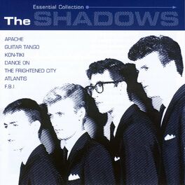 Album cover of The Shadows: Essential Collection
