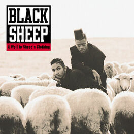 Album cover of A Wolf In Sheep's Clothing